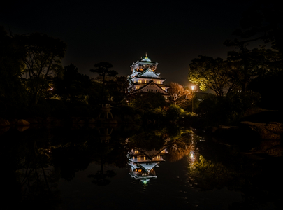 osaka castle-reduced.jpg