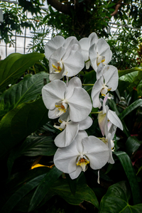 P1050101-reduced.jpg