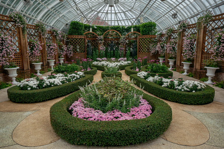 P1050164-reduced.jpg
