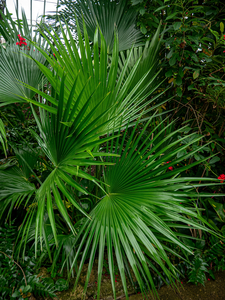 P1050519-reduced.jpg