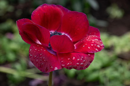P1050547-reduced.jpg