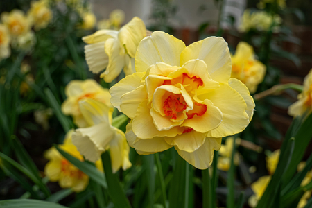 P1050570-reduced.jpg