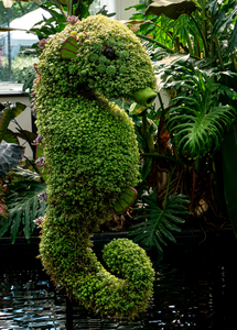 P1040853-reduced.jpg
