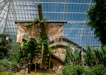 P1040923-reduced.jpg