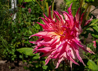 P1040962-reduced.jpg