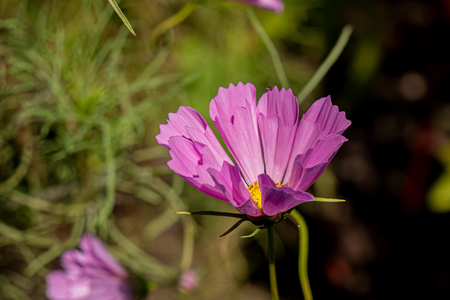 P1040969-reduced.jpg