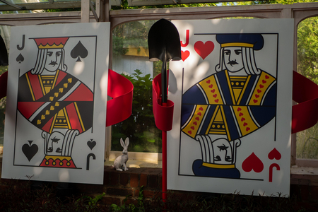 P1060581-reduced.jpg