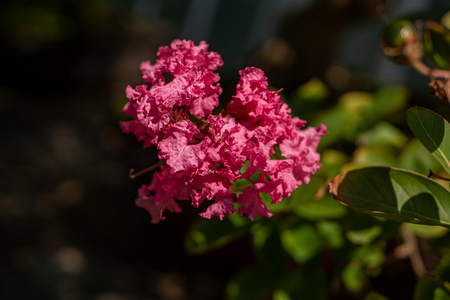 P1060635-reduced.jpg