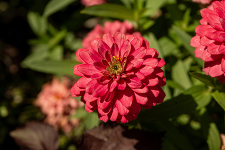P1060645-reduced.jpg