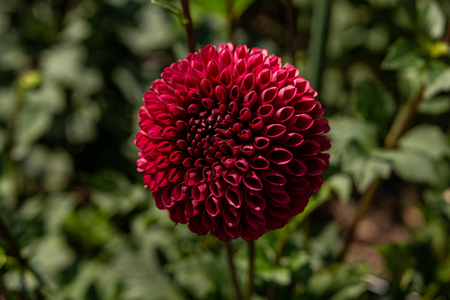 P1060654-reduced.jpg